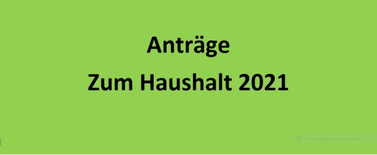 Grüne Anträge für den Haushalt 2021