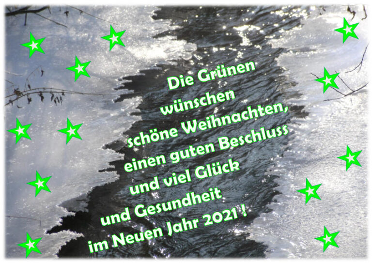 Grüner Jahresabschluss 2020