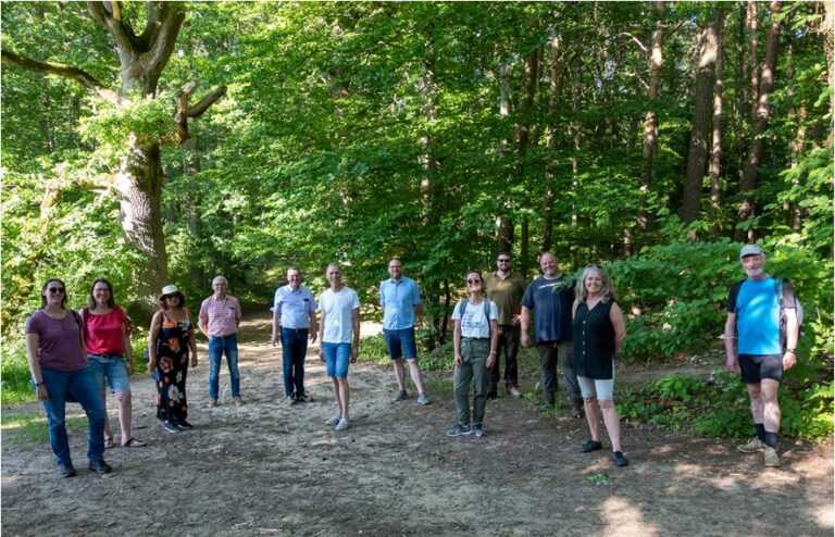 Waldbegehung