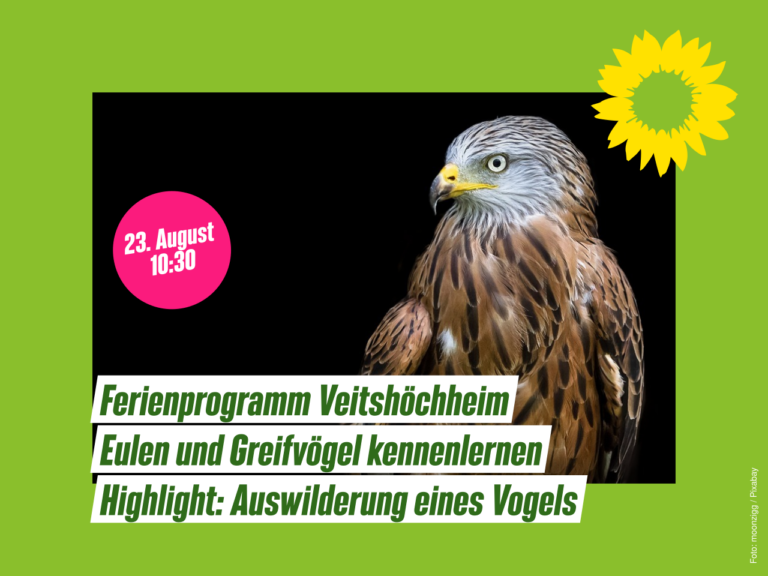 Was tun in den Sommerferien?