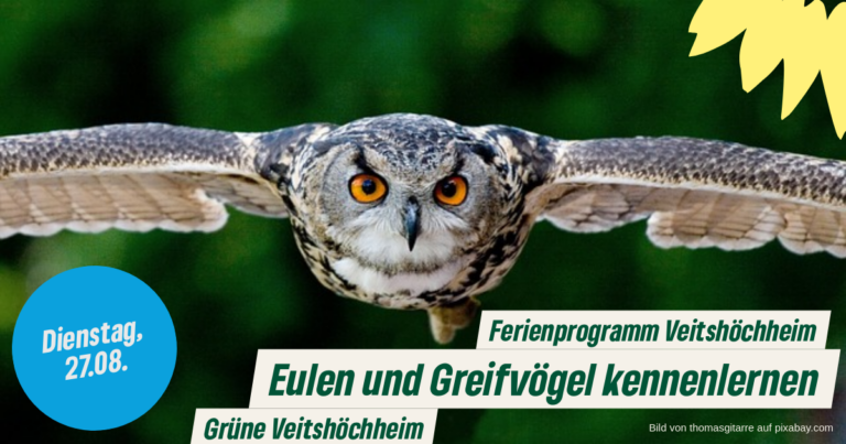 Grüne beim Ferienprogramm dabei