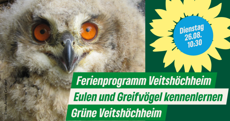 Grüne wieder beim Ferienprogramm dabei