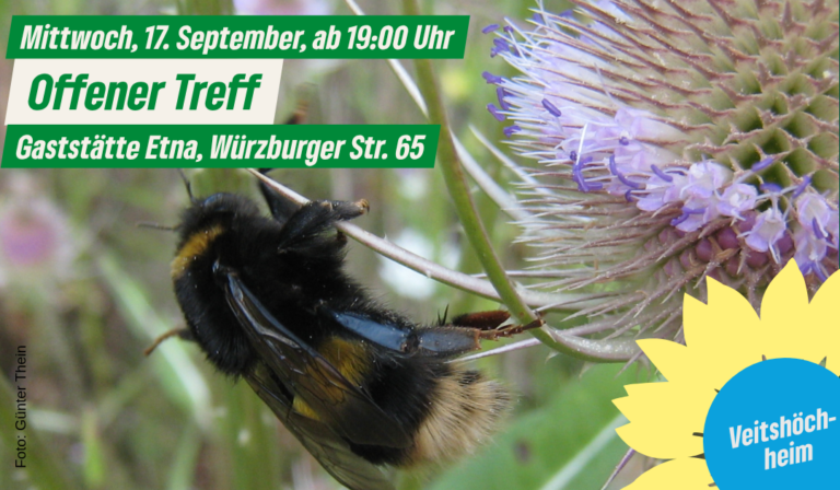 Auch nach den Ferien geht der Offene Grüne Treff weiter